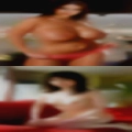 Connect cheating housewives
