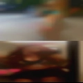 Nasty housewives swingers Reno